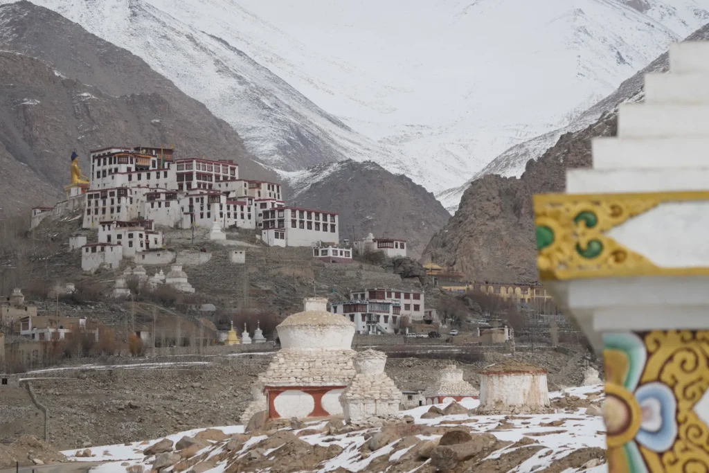 Pockets of life in the cold desert