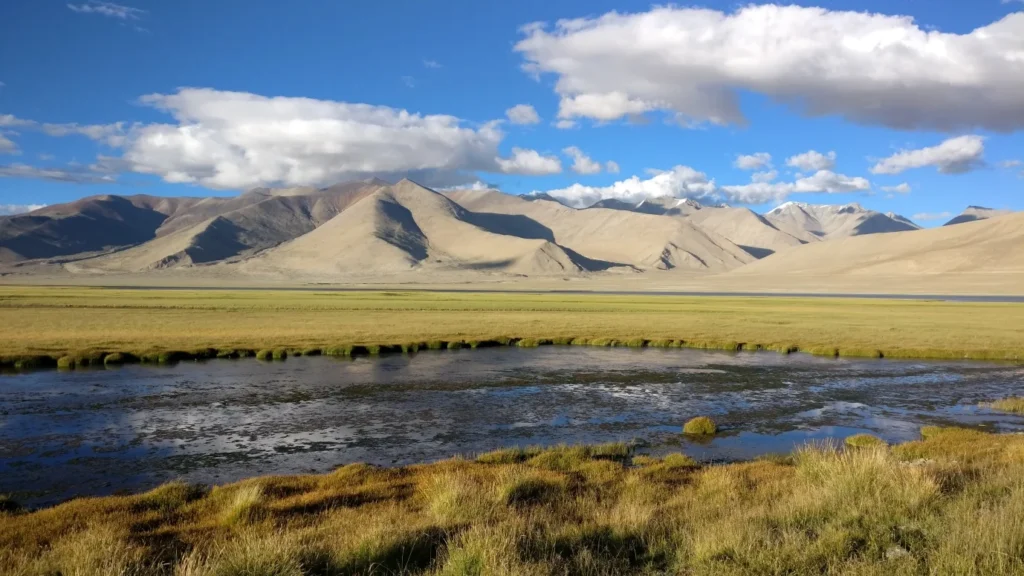 The Tso Kar landscape