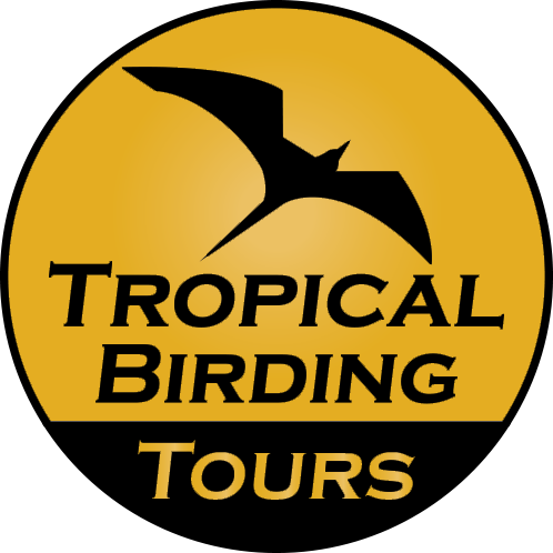 Tropical Birding Logo